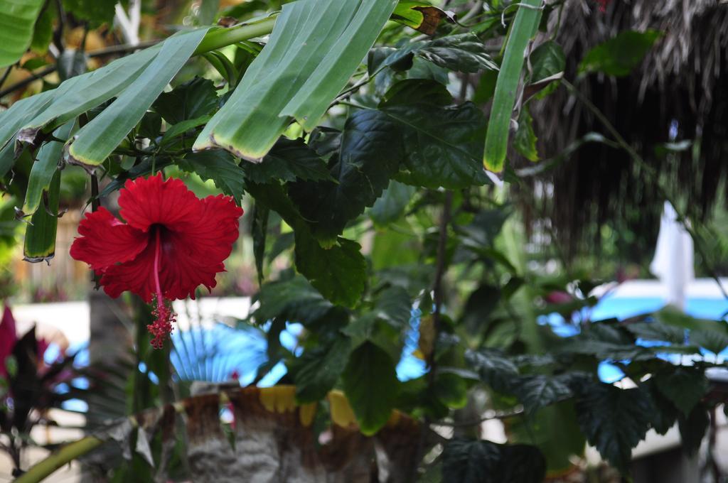 Green Tulum Cabanas & Gardens 外观 照片