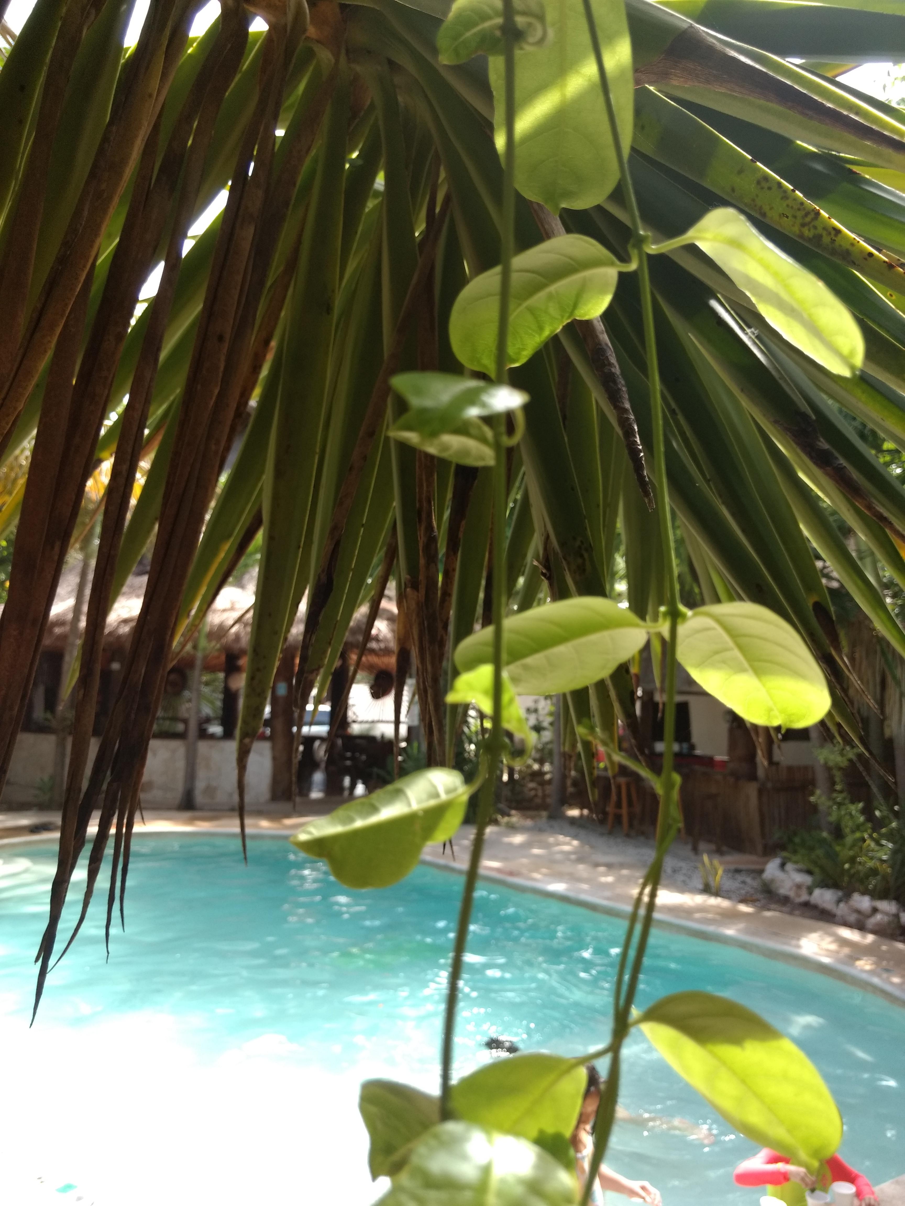 Green Tulum Cabanas & Gardens 外观 照片