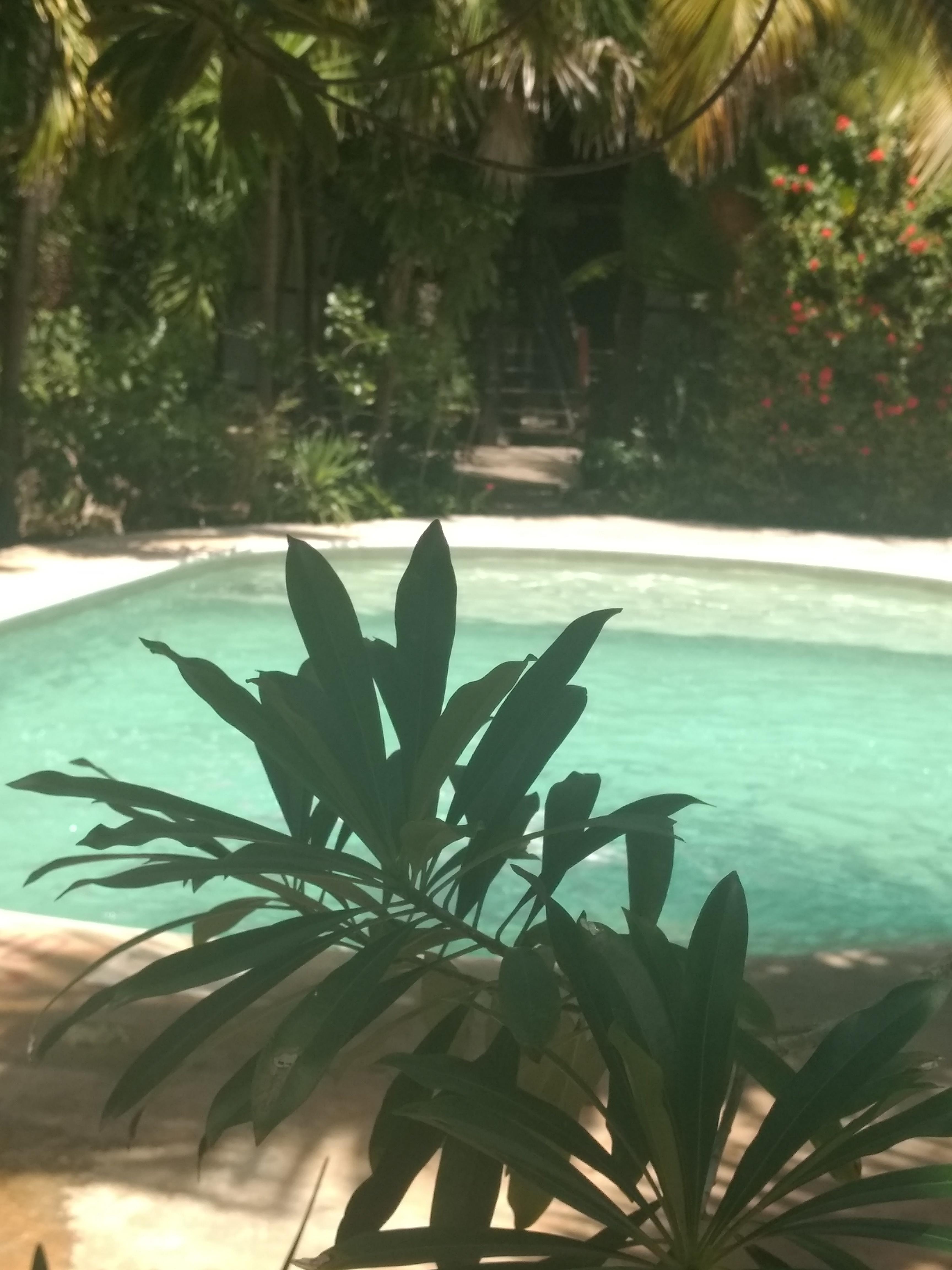 Green Tulum Cabanas & Gardens 外观 照片