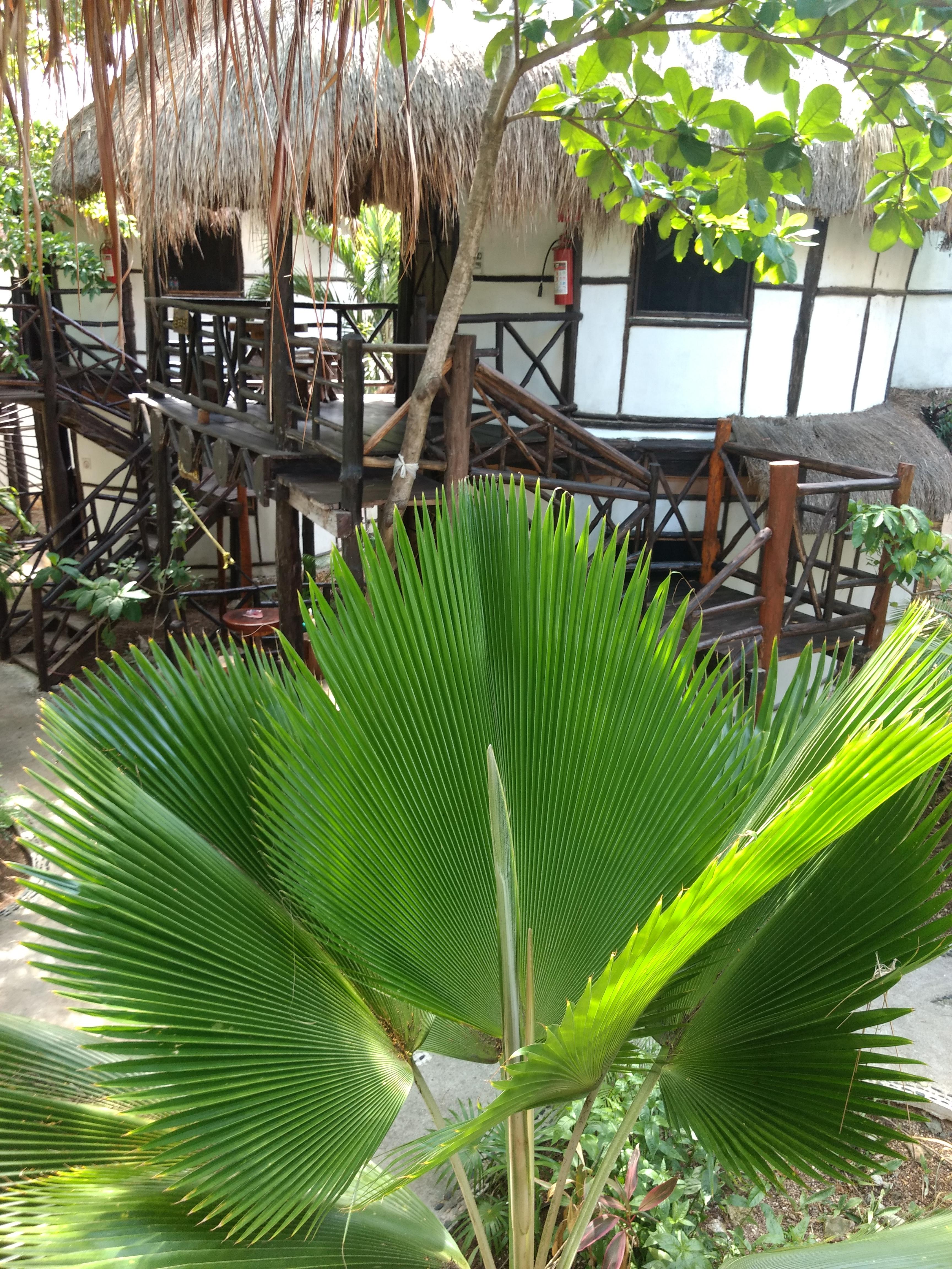 Green Tulum Cabanas & Gardens 外观 照片